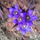 수명민박 이미지