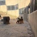 신데렐라모텔 | 도움 많이 된다. 그런 스트레스도 필요해.