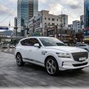 하이랩 | "하이브리드 안 사길 잘했네요" 13.7km/L 연비 터진 프리미엄 SUV 실구매 후기 급 증가 이유