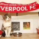 리버풀PC 이미지