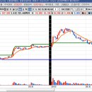 넥스트 거래소 구분선 이미지