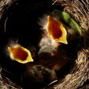 골든힐스짐 이미지