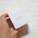 에스투지