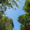 하늘구름길캠핑장 | 임실군에서 조용한 휴식이 가능한 하늘구름길캠핑장 , 힐링 숙소