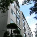 분당-265 이미지