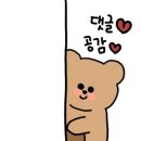 에브리도넛