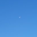 성림식당 이미지