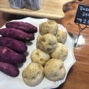 데일리스튜디오 이미지