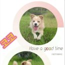 백암농장 이미지