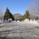정릉1 이미지