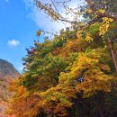 산자락 Daum카페