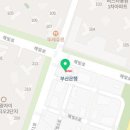더 퍼스트 피티 스튜디오 이미지