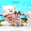 도경펫샵 이미지