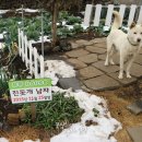 조아모루
