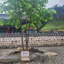 보리수한약국 이미지