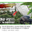 장항소문난칼국수 이미지