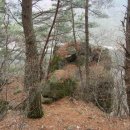 대림생수 이미지