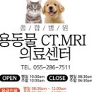 용동물병원 이미지