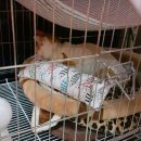 통영동물병원 이미지