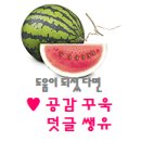 다봉스다육 이미지