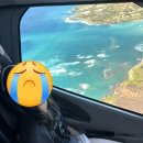 ACC 푸드 라운지 : 쿡 아시아 | 2026 Hawaii (1: Big island)