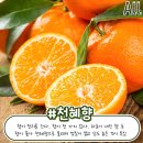 제일 먹고 싶은 귤 종류는? 이미지