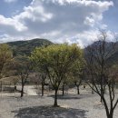 월악 한울캠핑장 | 일상 / 충북제천 가볼만한 곳. 제천 월악한울오토캠핑장 후기