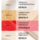 진설 | 설화수 진설 인퓨전 트리트먼트 후기｜4주 피부 턴오버 프로그램