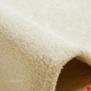 폴라리스 이미지