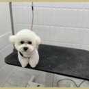 이쁘개몽 이미지