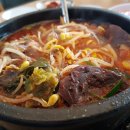 제주 은희네 해장국 Daum카페