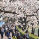 생태세상 이미지