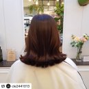 끌레헤어 엘로이 버건디염색 시술후기