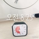 사라모 | 채식식단 1일1식+ 고기와 건강과의 관계