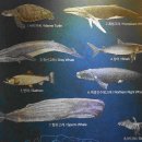 (주)건탁 | 암각화 박물관(岩刻畵博物館) (Petroglyphs Museum)(2). 울주군(蔚州郡)