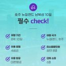 알파항공여행사