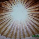 소나무황토집 이미지