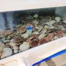 힐링이레 | 단합과 힐링 모두 잡은 시간 안면도워크샵펜션 이레 리조트 후기