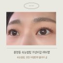 래쉬캠 - 유성구 대학로 31 | 대전 봉명동 속눈썹펌 찐후기 가성비좋은 래쉬캠