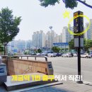 미소진치과 네이버블로그