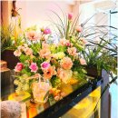 남동141 | 인천 남동구 구월동 카페 플라워카페 리림 꽃향기 가득한 감성 카페 추천 구월동 꽃집