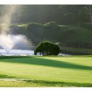 골드환경 이미지