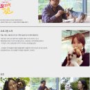 펫파크 이미지