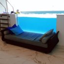 슈가브리움 이미지