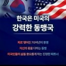 무자비