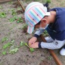 풀꽃작은도서관 이미지