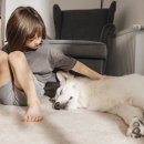 위즈동물메디컬센터 이미지