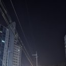 백곰 짐 이미지