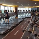 더엠 휘트니스 이미지