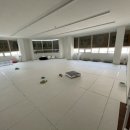 딩동댕독 이미지